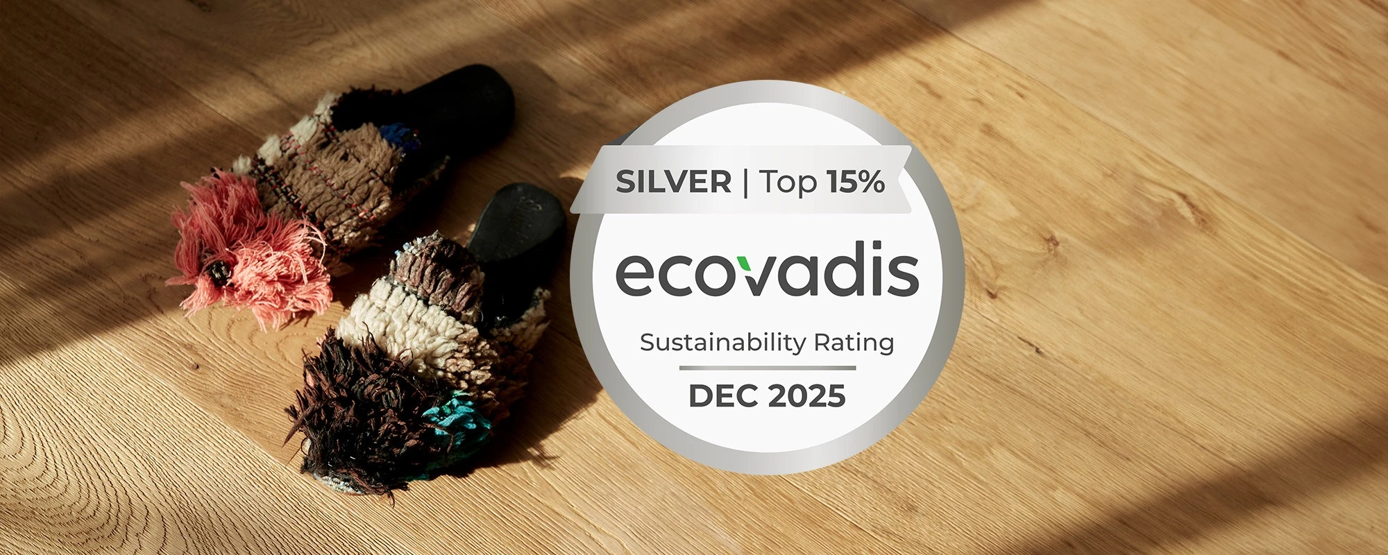 Ecovadis header_c